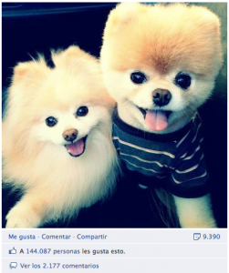 seguimiento likes seguimiento likes