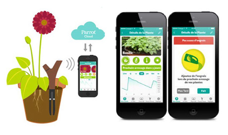 app smartphone plantas