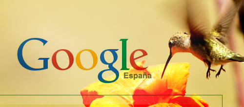 google colibrí