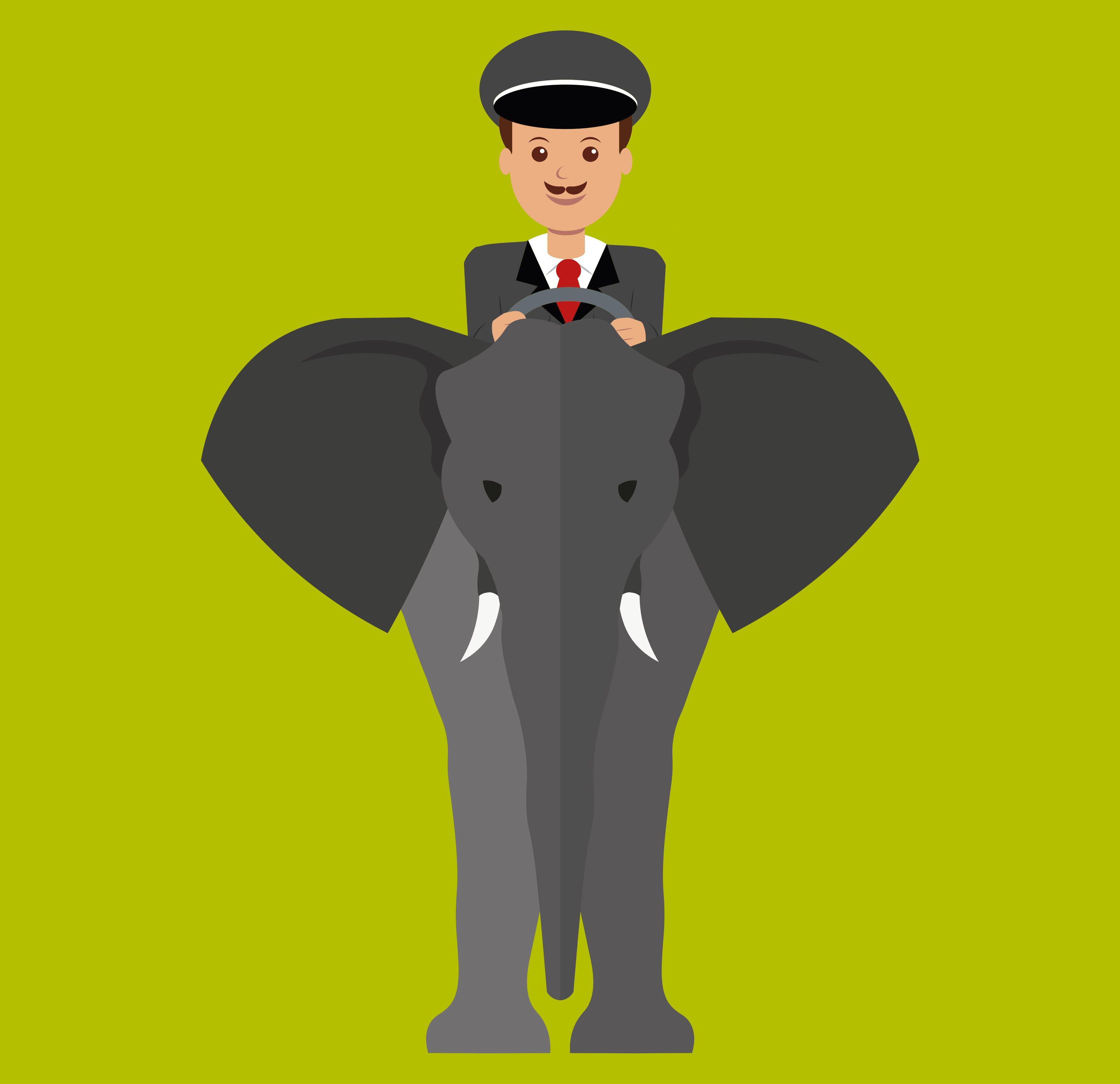 metafora elefante y conductor