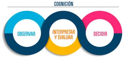 img1-diferencias-cognition img1-diferencias-cognition