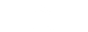 ibm watson