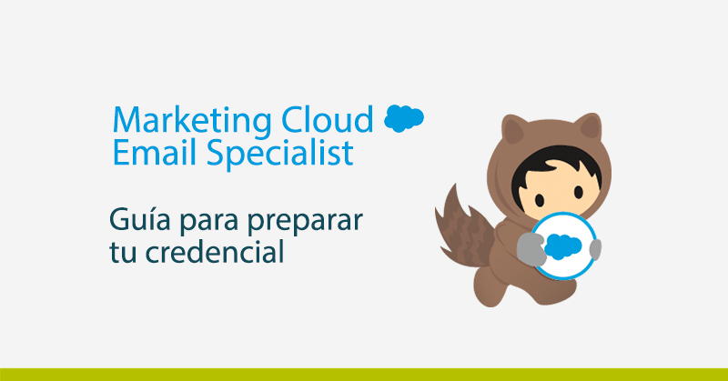 Salesforce Marketing Cloud Email Specialist