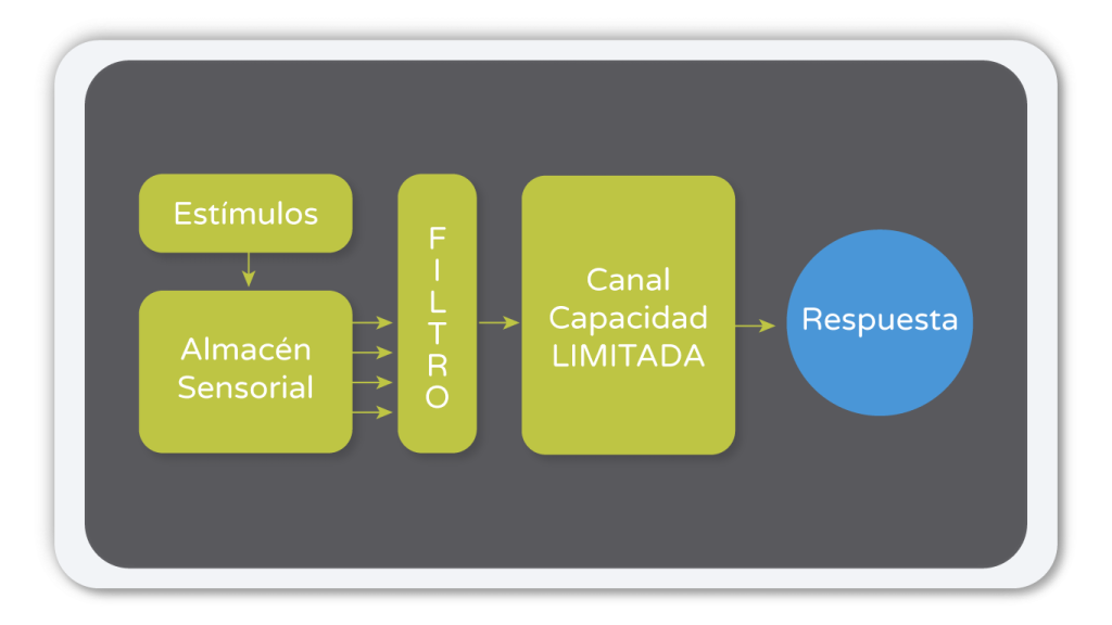 Filtro de Canal capacidad limitada. Shower Thinking