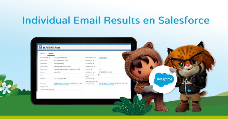Individual Email Results en Salesforce Marketing Cloud