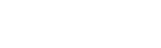 Boehringer Ingelheim